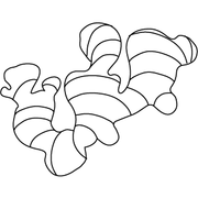 Ginger Icon